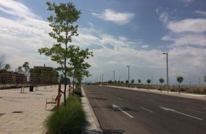 vivienda protegida El Cañaveral